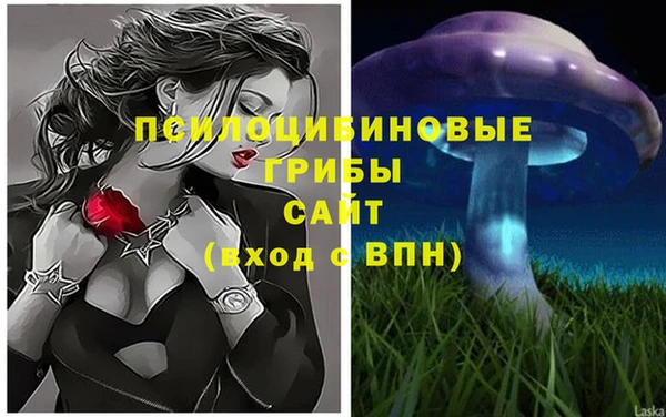 мяу мяу мука Арсеньев