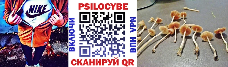 Псилоцибиновые грибы мицелий  Хадыженск 