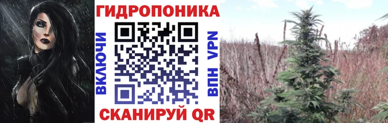 Конопля индика  mega онион  Хадыженск 